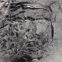 [LP] How To Dress Well (하우 투 드레스 웰) - 5집 The Anteroom [2LP]