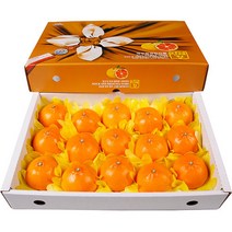 농장직송 고당도 천혜향 3kg 5kg 10kg, 1박스, 천혜향 5kg 왕특대(12~17과)