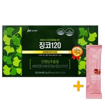 JW중외제약 징코120 면역력&혈행개선 영양제 120정(4개월분) + 비비화이트 석류콜라겐 1포 증정!, 1박스, 120정