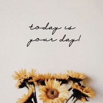 뮤즈 Today is your day 영어 레터링 감성 글귀 스티커 시트지, 검정