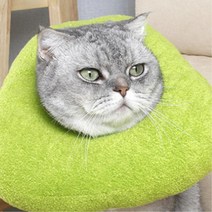 푹신푹신 꿀잠용 쿠션타입 강아지넥카라 도넛 대형견 넥칼라 애견목보호대 중성화수술, S