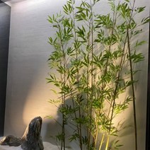 베로니카 인조 대나무 조화 세트 장식 인테리어 소품 실내 조경, 부식방지대나무 1.6미터 8뿌리