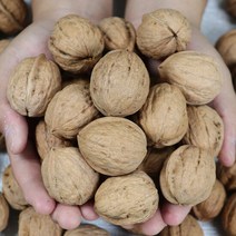 [미네픽] 안동머슴의 싱싱한 생호두 국산 호두 1kg, 단품