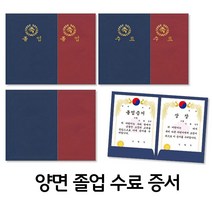 TTW796D8D 10장1봉 사다리바인더 쫄대화일 케이스 문서보관상자 a4화일 d링바인더 사진앨범 2공바인더 액자 고급 3공펀치 화일 투명파일 상장 과일청 졸업 종이 수제청 파이프바인더 없음 pp 스프링노트 정부화일 파일철 화환 3공바인더 용지 클리어화일 수료, 무제자주 NO 567
