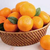 제주 천혜향 2.5kg/4.5kg/천혜향/제주천혜향/제주과일/햇과일/인기과일/천혜향2.5kg/천혜향4.5kg, 천혜향 소_15~17과내외 2.5kg