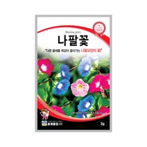 나팔꽃씨앗 나팔꽃 씨앗 꽃씨앗 ( pharbitis seed 3g )