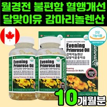 40대 여성 달맞이꽃 기름 오메가6 필수지방산 달마지꽃 종자유 오일 감마 리놀렌산 리놀레산 달맞이유 50대 60대 중년 여자 갱년기 폐경기 영양제 추천 보조제 지엘에이 GLA, 2박스(10개월분)