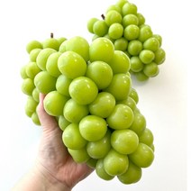 고당도 특품 샤인머스켓 망고포도 1kg 2kg, 프리미엄 샤인머스켓 900g내외  (1~2수)