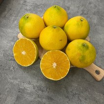제주황금향 감귤 고당도 선별 산지직송 가정용 선물용 2kg 3kg 5kg, 황금향_선물용_특대_8-16과 / 5kg