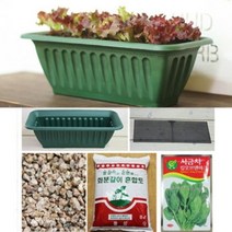 [천삼백케이] [행복한 세상] [행복한세상]채소키우기세트(중)DIY, 채소키우기(중)-부추