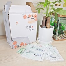 한약 용돈 박스 스티커 파우치 세트 어버이날 환갑 꽃무늬, 1세트