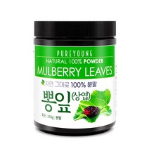 퓨어영 국산 뽕잎가루 250g, 1통