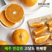 이츠올릿 제주도 고당도 감귤 천혜향 3kg 제주 하우스 귤 택배 선물 세트, 한라봉＋선물가방_5kg(특대_8-14과)