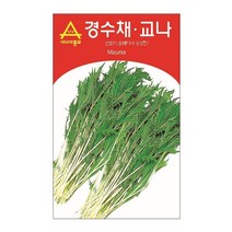 경수채씨앗 2000알 교나 수채 씨앗