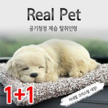 1+1숯품은 강아지 제습 탈취인형 차량용 공기정화, cc 골든리트리버(리얼)_골든리트리버(미니)