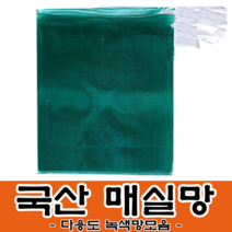 매실망 청색망 녹색망 콩망 밤망 다용도 농산물망 야채망 채소망, 25장, 매실망(녹색망)38x60