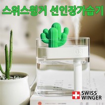 브니엘몰 사무실 책상 미니 선인장 USB 초음파 가습기, 선인장가습기