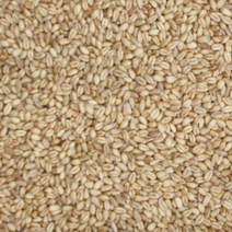 통밀 2kg 우리밀통밀 국내산밀 무정제곡물 잡곡 곡물