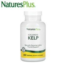 네이처스플러스 켈프 KELP 다시마 추출물 필수 미네랄 요오드 아이오딘 알팔파 300정