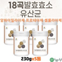 필수아미노산 함유 발효 효소 유산균 분말 파우더 임산부 어린이 노인 부모님 온가족 추천 황국균 류신 5통 ENZYME 엔자임 프로테아제 셀룰라아제 리파아제 소화효소 발효미강 현미