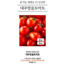 최현보 유기농 대추 방울토마토, 2Kg
