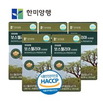 보스웰리아 프리미엄 관절 연골 영양제 10개월 분 당일발송 !!, 6개, 60정, 63.84g