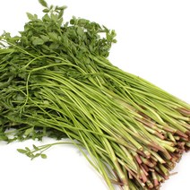 한재미나리 1kg x 2 (봉) / 청도 산지직송 무농약