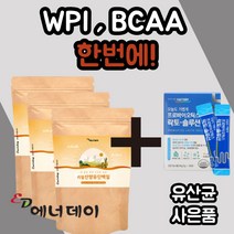 리얼 네달란드 산양유 단백질 프로틴 컴플렉스 복합 뼈 척추 관절 락토 락도 페린 패린 밀크 세라마이드 미셀라 카제인 칼슘 WPI BCAA 남성 여성 성인 할아버지 할머니 부모님, 140gx12봉