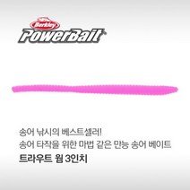 버클리 트라우트 웜인치 배스 송어 웜 베이트, NAT