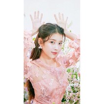 직소퍼즐 아이유 이지은 앨범 조각집 strawberry moon LILAC 2022년 콘서트 굿즈 우드직소 퍼즐 300피스 500피스 1000피스 20종, 009