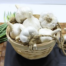 이베따 보물섬 남해농협 마늘 3kg(특), 단품없음
