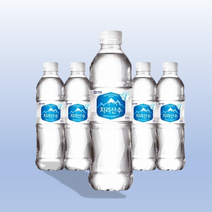 아워홈 지리산수, 500ml, 118개