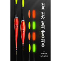TD 중통 외통 전자찌 낚시 채비 65cm-50cm 장찌 전자찌 굵은 찌톱 장대 야광 민물, TD-06 1.6g, 1개