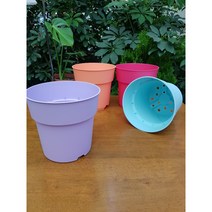 제라늄 화분 네덜란드 컬러 화분) 플라스틱 화분 4가지 색상 3.2리터, 연보라