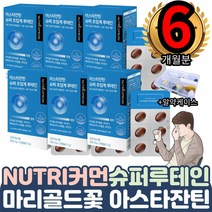 노년 노인 중장년 할아버지 할머니 엄마 아빠 눈피로 6통 피곤함 실핏줄터졌을때 눈사랑 인공컬러렌즈 눈물샘 안구건강 루테인고르는법 온가족 전연령 장시간 컴퓨터 TV 독서 눈 피로