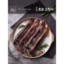 바다에 띄운배 국내산 선상 급랭 초코 오징어 (1.5kg)