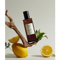 FORMENT 티타임 룸 스프레이 120ml (2종 택1), 어웨이큰 미
