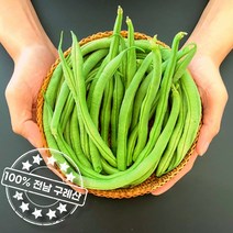 얼리지 않은 100% 지리산 산지직송 생 그린빈 롱빈(껍질째 먹어요), 그린빈(줄콩) 1kg, 1개