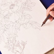 세필화 수채화 인물 화보 밑그림 드로잉 따라그리기