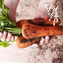 천하일품 제주 구좌 흙당근 3kg 5kg 10kg, 1박스, 01.제주 구좌 흙당근 3kg 소