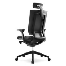 시디즈 시리즈 T550HLDA 블랙에디션(더블라셀)