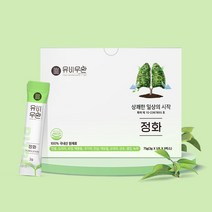 유비무환 정화 기관지 목 건강 폐에 좋은 음식 배 도라지 인삼 환, 75g, 1개