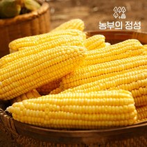 농부의정성 [농부의정성] 제주 프리미엄 초당 옥수수 10개(특품/15cm이상), 1