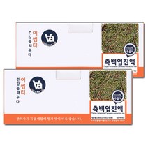 중저온추출 16시간 국산 측백엽 (측백나무잎) 진액 100ml x 30포, 2개