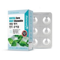 덴탈 케어 츄어블 민트 30정 입속 장 건강 기능성인정 50억CFU 무설탕 자일리톨 임플란트후 교정후 충치 치주질환 염증 억제 구취제거 잠들기전 여행 휴대용 고체 치약 구강 유산균, 900mg, 1개
