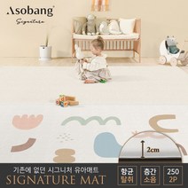 [아소방] 1+1 시그니처 원컷 유아 놀이방매트 어도러블 250 250x150x2cm