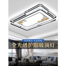 천장등커버 형광등덮개 천장등 가리개 교체 거실 조명 인테리어 램프 새로운 램프 미니멀 분위기 홀 메인 램프 새로운 스타일 led 그물 빨간 천장, 없음