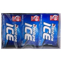 DENTYNE 덴타인 아이스 페퍼민트 무설탕 츄잉껌 24GX12PK 미국산, 1세트, 288g