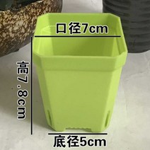 꽃 받침대 월계 두꺼운 측 대야 플라스틱 식물 입체 미니 사이즈 경치 많다 고기 비닐 화분 특 1768871528, 수퍼 복권방 7번 그린 30 개