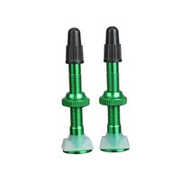 범용 자전거 40mm 튜브리스 타이어 밸브 2 팩 12.8mm 기본 알루미늄 합금 타이어 밸브 (o-링 교체 부품 포함), 녹색